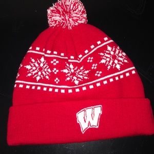 Badgers Knit Winter Hat